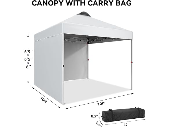 ChicCoutured 10x10 Pop-Up Canopy, 2 Sidewalls
