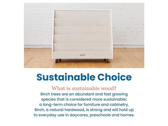 ECR4Kids Double-Sided Mobile Book Display