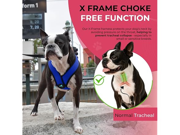 Gooby Comfort X Head-in Dog Harness, Choke-Free, S