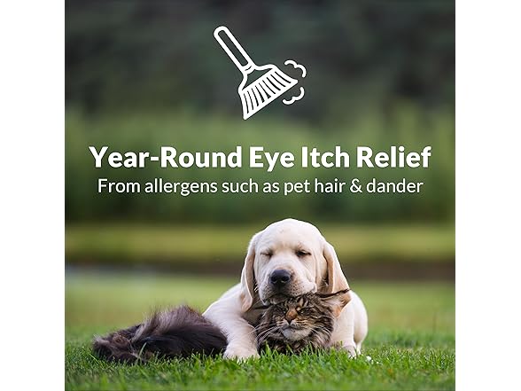 Alaway Alaway Eye Drops, 0.34oz, 2pk