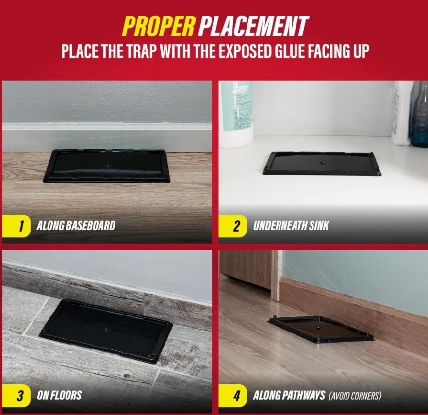 Hakol 10PK Large Glue Traps  Rats, Mice, Snakes & Crawling Insects - Gallery 14