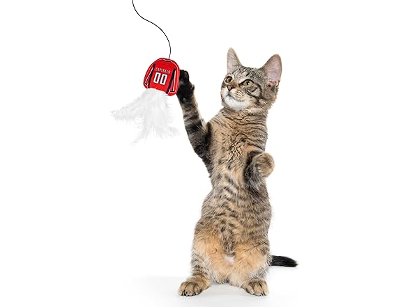 NHL Washington Capitals Team Jersey Wand with CAT NIP