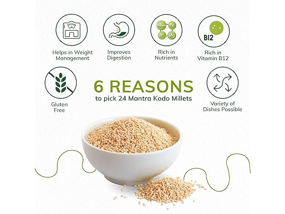 24 Mantra Organic Kod24 Mantra Organic Millet 500g