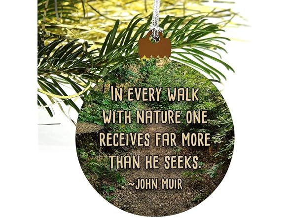 GRAPHICS & MORE in Every Walk with Nature Ornament