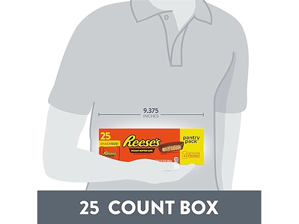 Reeses PB Cups Snack Size Pantry 13.75oz