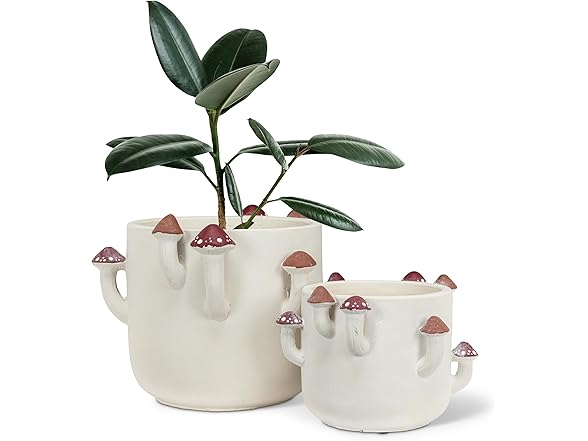 Large Sprouting Mushroom Planter