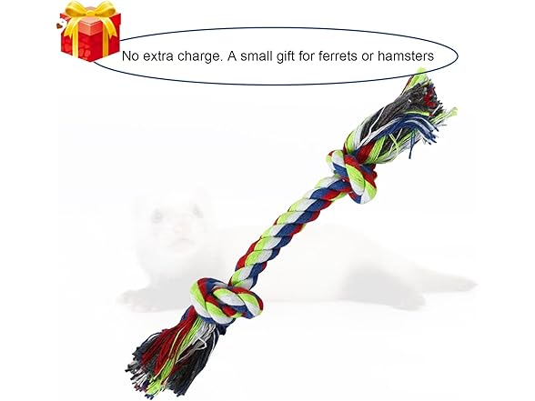 Rgbpro 2Pcs Guinea Pig Rat Hammock