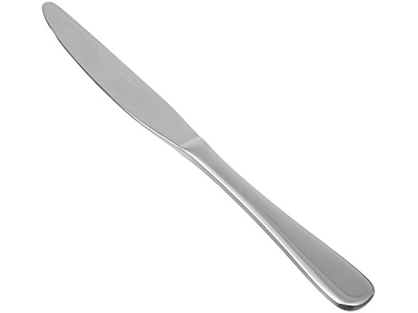 Stainless Steel Dinner Knives- 120 count