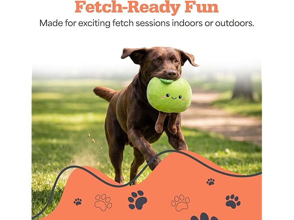 Bow Wow Pet 2 Pack Plush Dog Toy with Squeaker