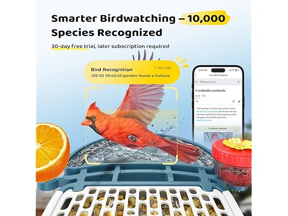 Loatos Bird Feeder with Camera