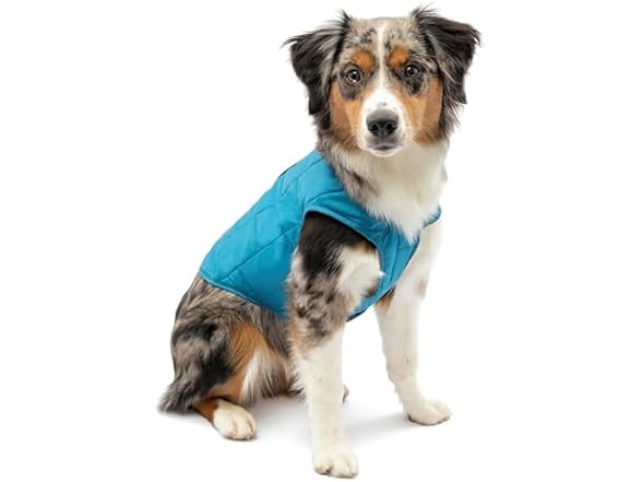 Kurgo Reversible Dog Jacket, Size Medium