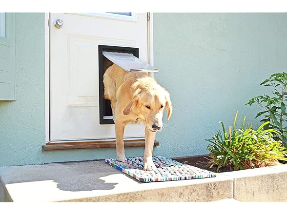  Endura Flap Double Flap Pet Door 