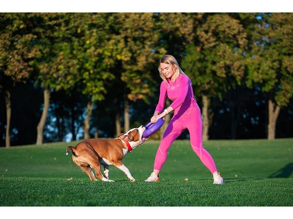 COLLAR Puller Maxi - Innovative Dog Fitness Tool