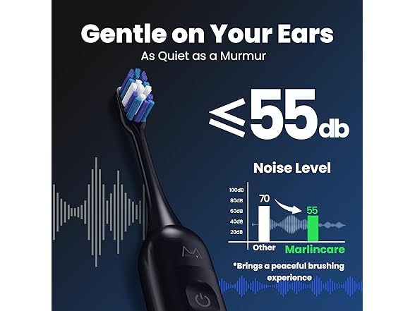 Sonic Electric Toothbrush for Adults/Teens