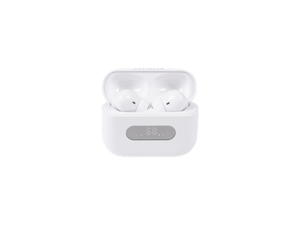 Prodigy View TWS Earbuds Display Case