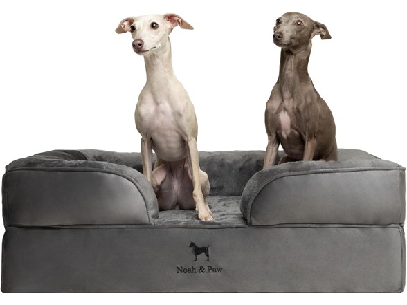 NOAH & PAW Dog/Cat Sofa- Large