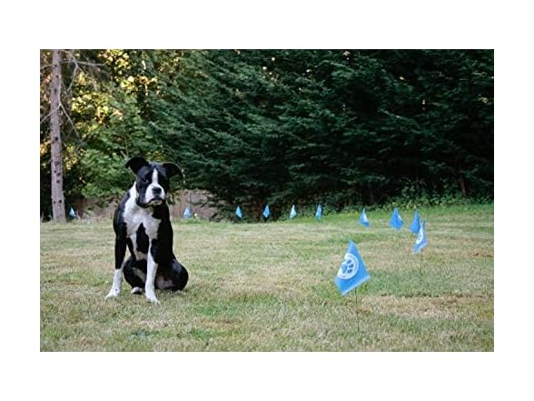 Educator E-Collar Educator FLAGS-50 Boundary