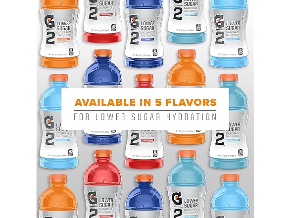 Gatorade G2 Grape, 12 Fl Oz (Pack of 12)