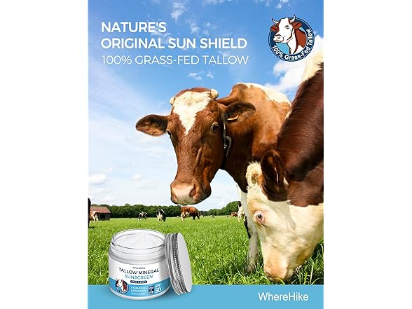 Organic Beef Tallow Sunscreen-SPF 50