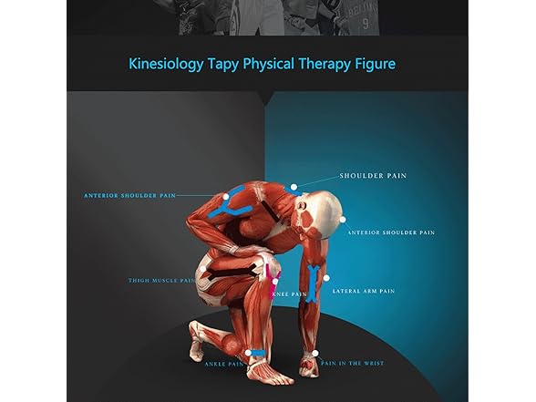 Kinesiology Theraeputic Tape Uncut 2 Inch