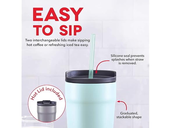 DASH 20oz Tumbler with Spill-Proof Lid and Straw  2PK
