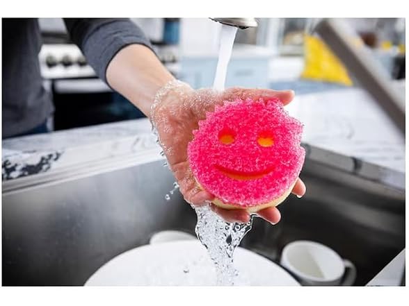 Scrub Daddy 6 Scrub Mommy Kitchen
