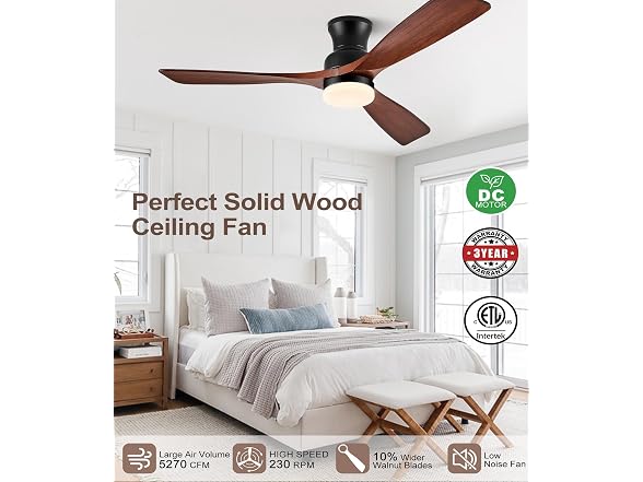 BOOSANT 60" Ceiling Fan with Lights Flush Mount