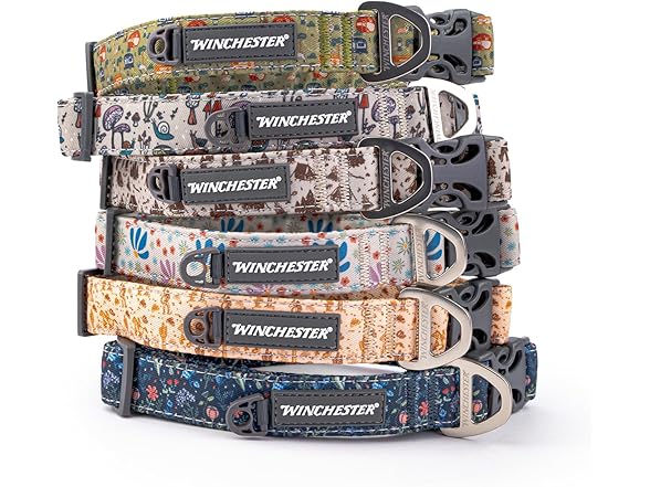 Winchester Printed Designer Dog Collar