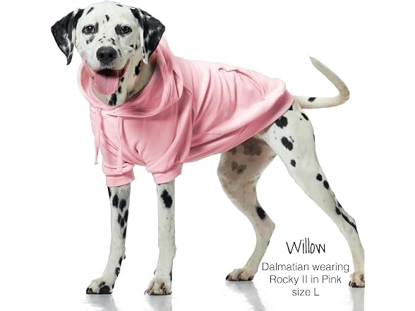 Pet Passion Rocky II Dog Hoodie, Pink, X-Large