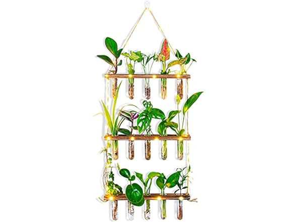 Yqlinnn Wall Hanging Plant Propagation