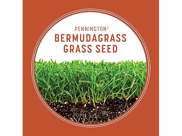 Pennington Bermudagrass Grass Seed 5 lb