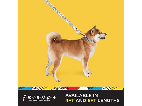 Friends TV Show City Doodle Dog Leash, 4 Ft