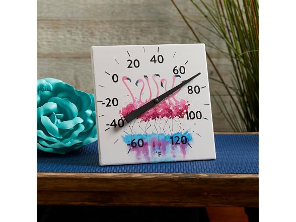 Taylor 8INP Tabletop Thermometer