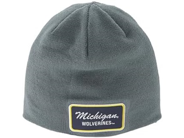 Michigan Wolverines / Grey
