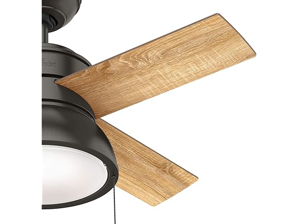 Hunter Fan CC59387-A 36 36 inch wLight and Pull Chain