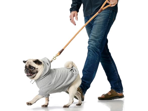 Pet Passion Rocky II Dog Hoodie, Black Sand Plaid XXXS
