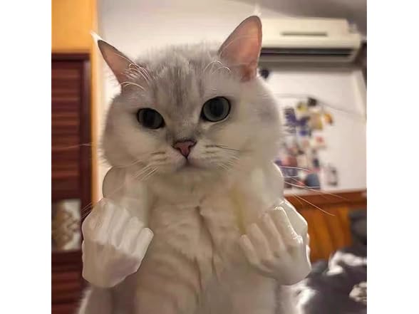 HEYPOMAX Cat Boxing Arms