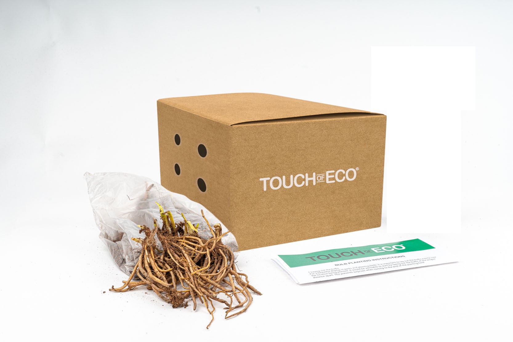 Old Fashioned Bleeding Hearts Flowers Pink- 4 Bulbs - Gallery 10