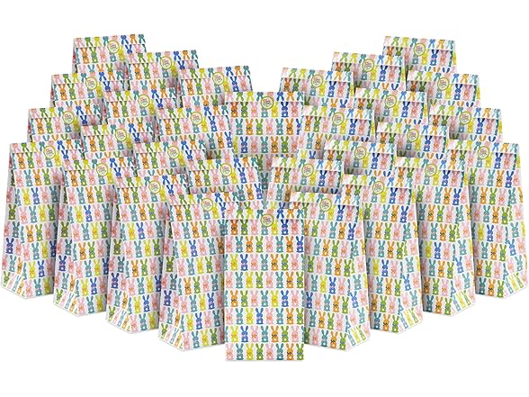 Hallmark Hallmark Easter Bunny Party Favor and Wrapped