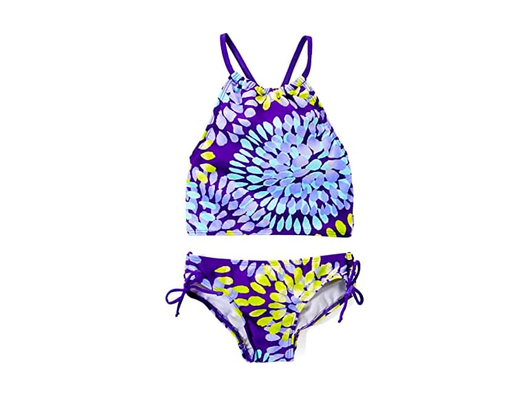 Daisy Purple