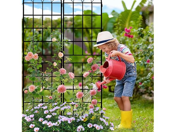 LZRS 83x20in Rustic Iron Arch Garden Trellis