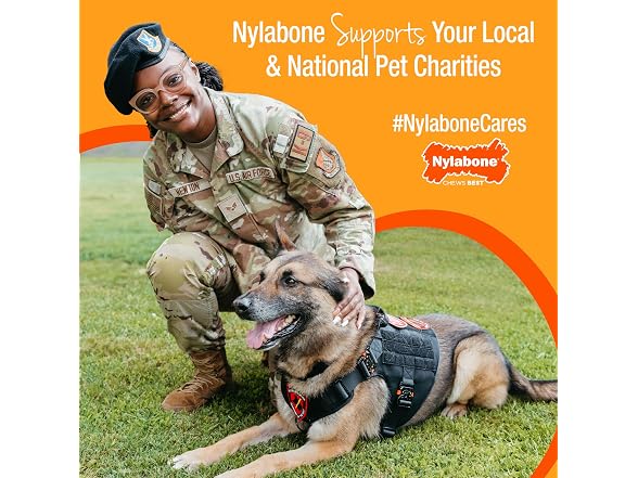 Nylabone Lobster Power Chew Toy for Dogs, Dog