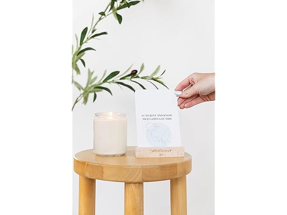 WildFlower Christian Affirmation Cards, 50pc