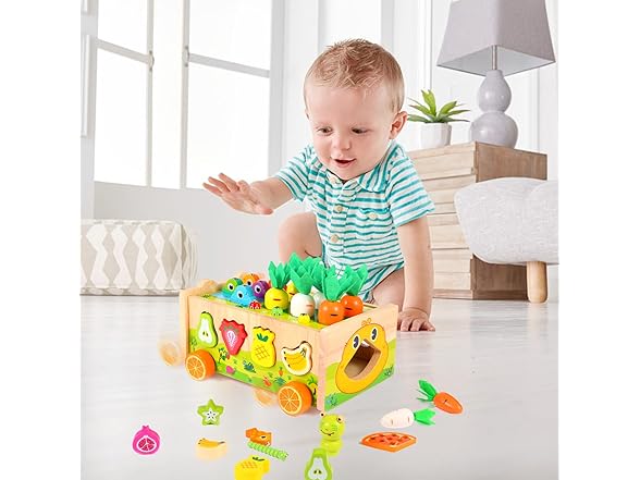 Montessori Toys Wooden Shape Sorter