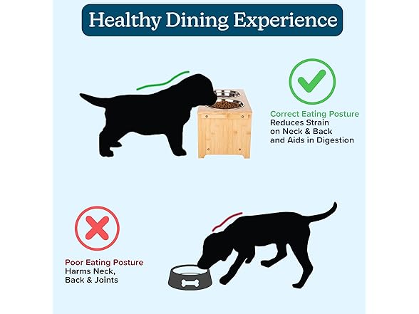 Elevated Dog Bowls w/ Bamboo Stand