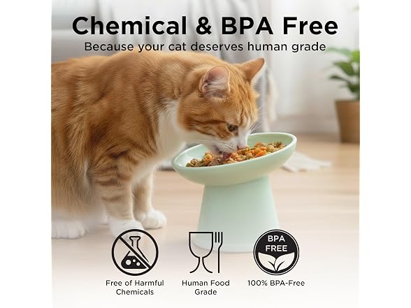 Necoichi 2pcs Tilted Elevated Cat Food Bowls