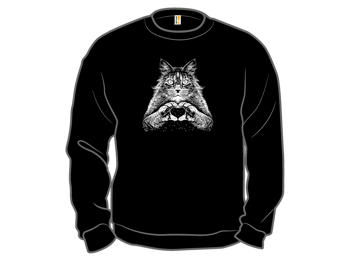 Maine Coon Affection - Gallery 11