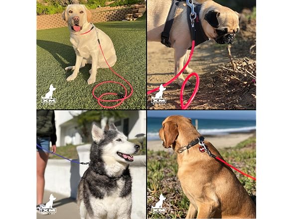 XM | Wag More Premium Dog Leash Ultra Flex,