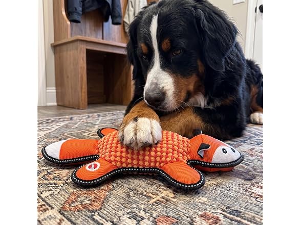 SPOT Dura-Fused Big Ballistic Barnyard Fox Dog Toy