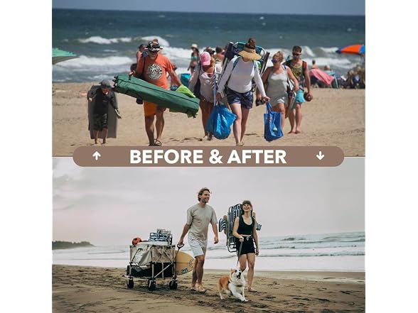 Camphor Designs Collapsible Folding Wagon